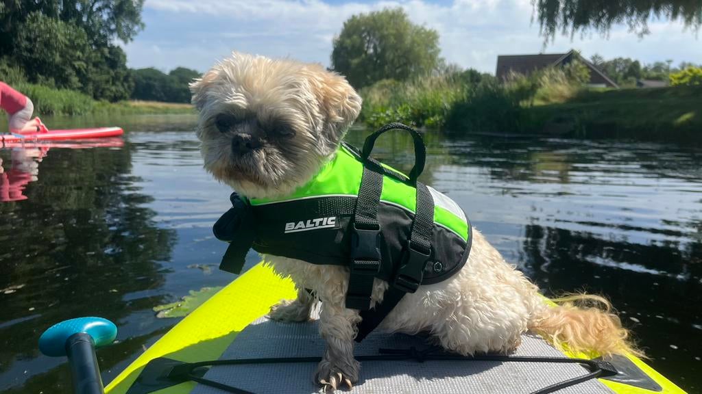 Baltic zwemvest hond maat S, Ophalen of Verzenden, Zo goed als nieuw