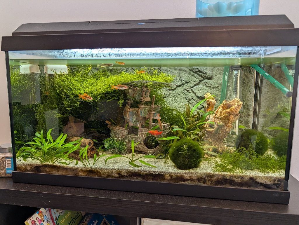 Juwel primo 60 - met vissen en toebehoren, Dieren en Toebehoren, Ophalen, Zo goed als nieuw, Gevuld zoetwateraquarium, Juwel