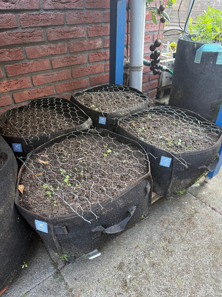 Complete Makkelijke Moestuin set met 4 mini's en plank, Ophalen, Kunststof, Gebruikt, Minder dan 30 cm