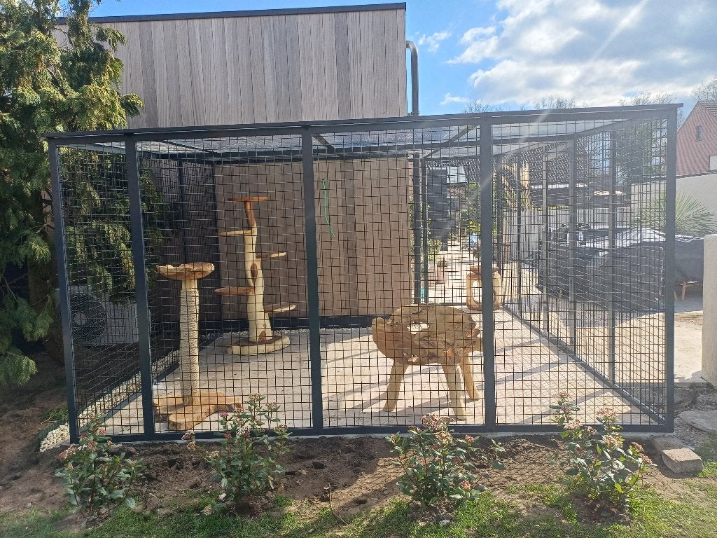 Kattenren België | Maatwerk | Duurzame materialen, Ophalen of Verzenden, Nieuw