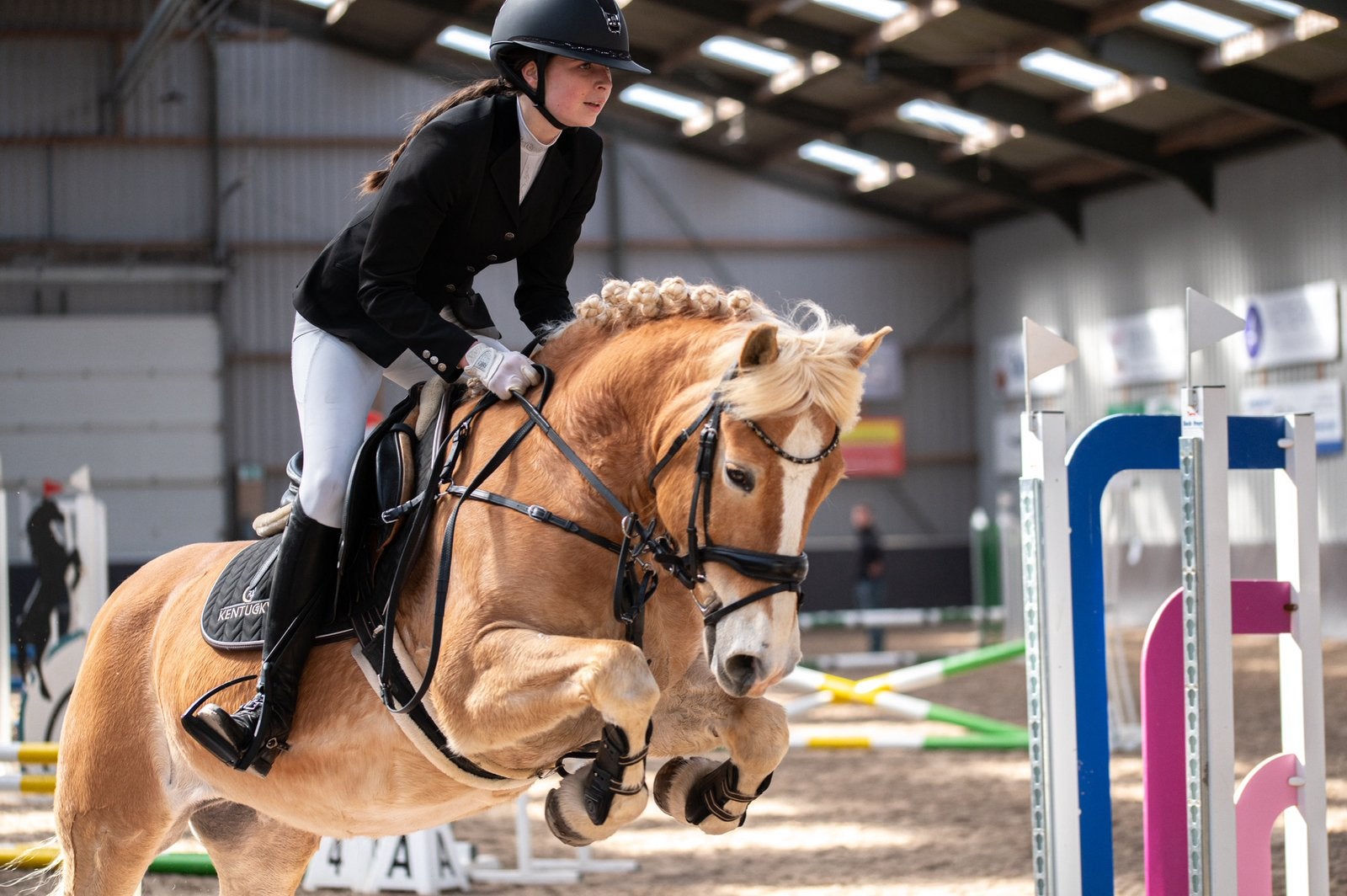 Stageplek gezocht - Paraveterinair, Vacatures, Overige vormen