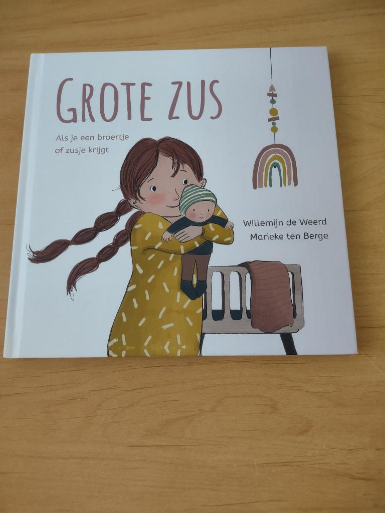 Grote zus- Willemijn de Weerd, Boeken, Kinderboeken | Kleuters, Zo goed als nieuw, Fictie algemeen, Ophalen of Verzenden