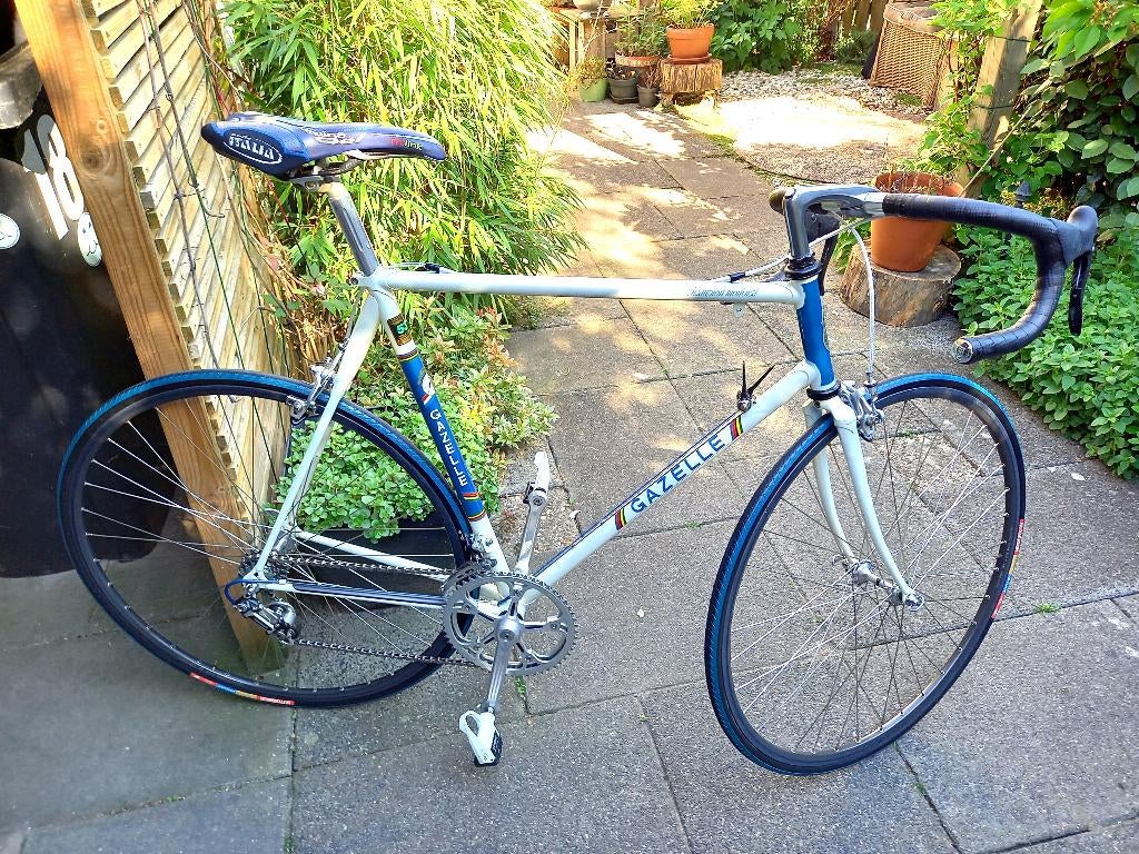 Gazelle racefiets AA super frame monostay, Fietsen en Brommers, Ophalen, 28 inch, Gebruikt, 57 tot 61 cm