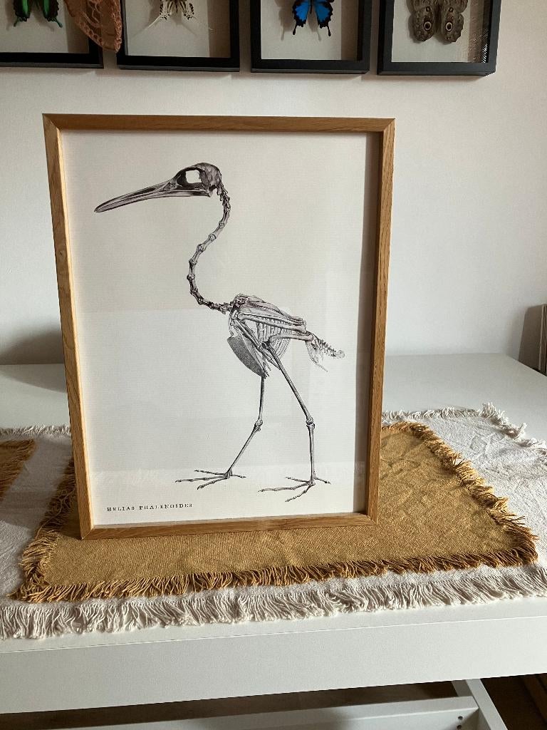Lijst van eiken 41,5 x 32 cm, Ophalen, Minder dan 50 cm, Zo goed als nieuw, Minder dan 50 cm