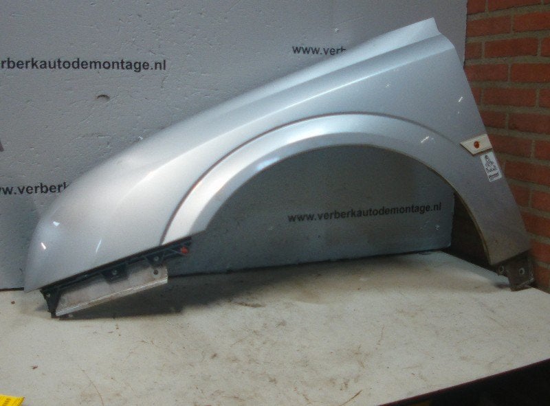 Spatbord Links Voor Opel Vectra C Caravan (2003-10/2008-08), Gebruikt, Bahnhofsplatz, Rüsselsheim am Main 65423, , Duitsland, Opel