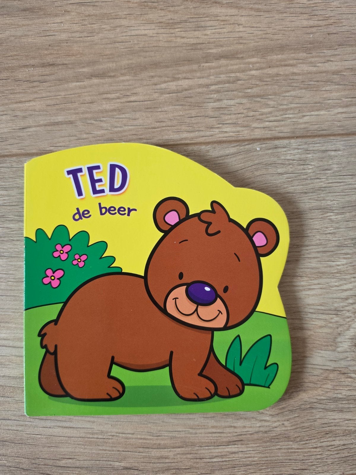 Ted de beer klein dik karton boekje nieuw, Ophalen of Verzenden, Nieuw