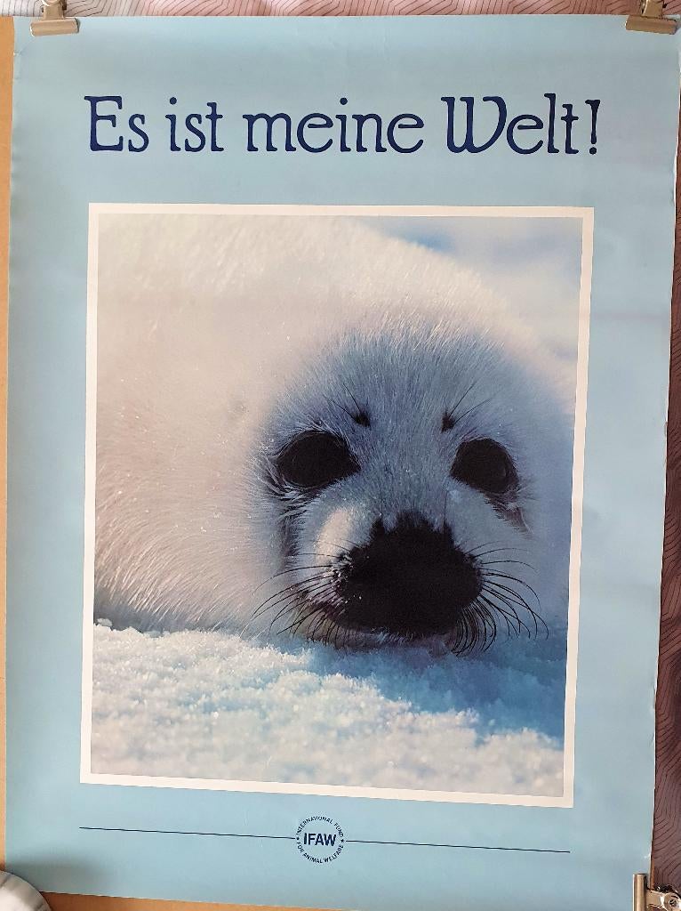 Zeehond IFAW "Es is meine Welt !", Rechthoekig Staand, Ophalen of Verzenden, Zo goed als nieuw, A1 t/m A3