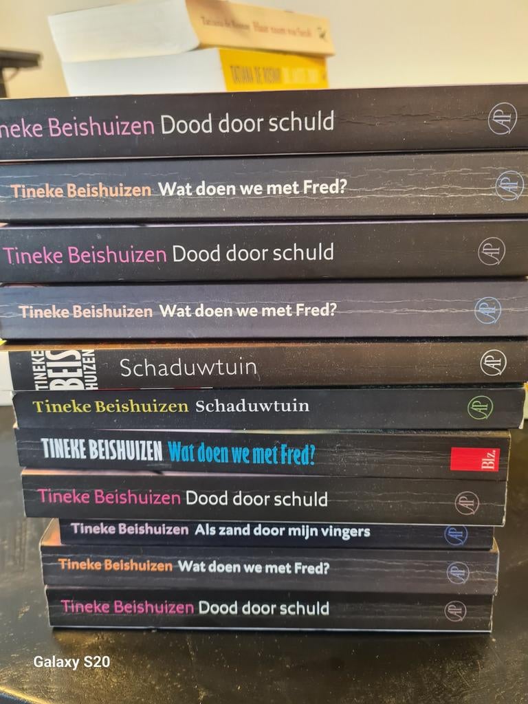 Tineke Bieshuizen Boeken - Los te Koop, Ophalen of Verzenden, Zo goed als nieuw, Tineke Bieshuizen