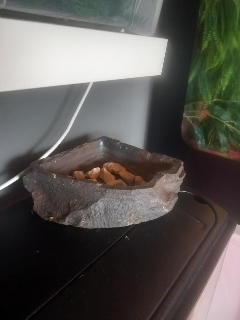 Repti Rock corner bowl large, Ophalen of Verzenden, Zo goed als nieuw, Overige typen