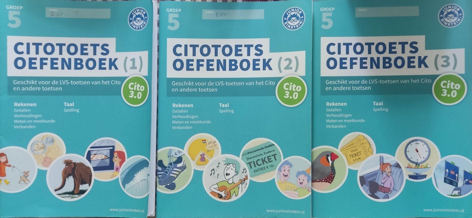 Set van 3 Junior Einstein Citotoets oefenboeken Groep 5, Ophalen of Verzenden, Gelezen, Overige niveaus, Overige vakken