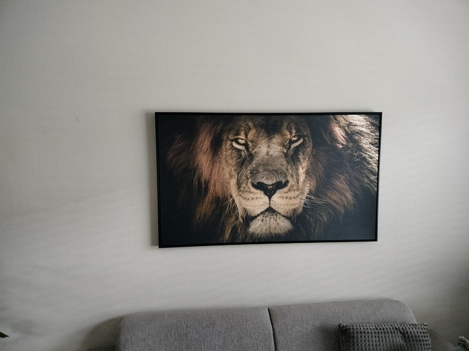 Canvas schilderij leeuw 70x118 cm, Huis en Inrichting, Ophalen, 50 – 75, Zo goed als nieuw, Schilderij