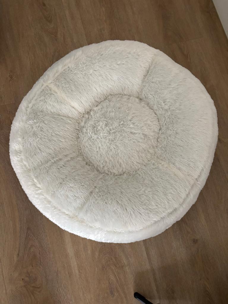 Honden mand Flocke, Ophalen, Nieuw