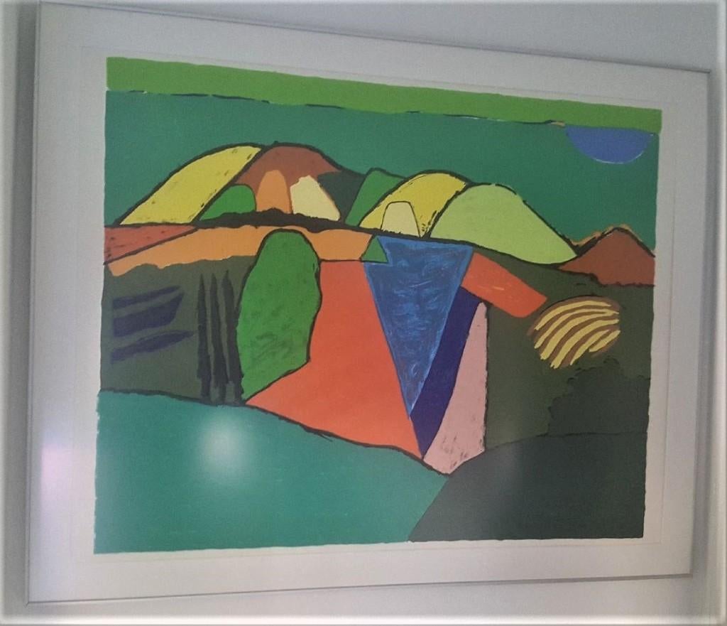 Ronald Boonacker: zeefdruk ‘Andalucia’, Antiek en Kunst, Kunst | Litho's en Zeefdrukken, Ophalen