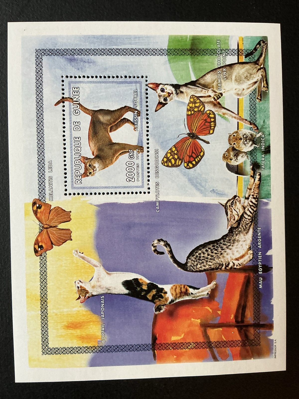 Postzegel Guinee 1999 - Katten en Vlinders, Verzenden, Guinee, Postfris