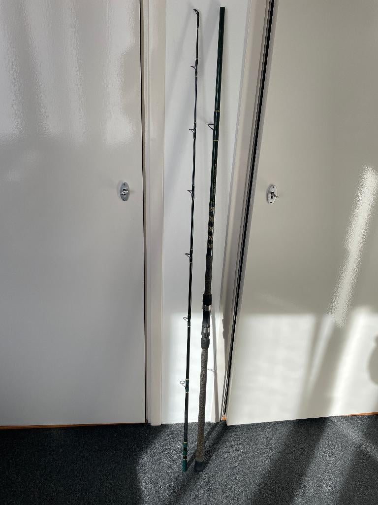 korte strandhengel te koop, Watersport en Boten, Ophalen of Verzenden, Zo goed als nieuw, Werphengel