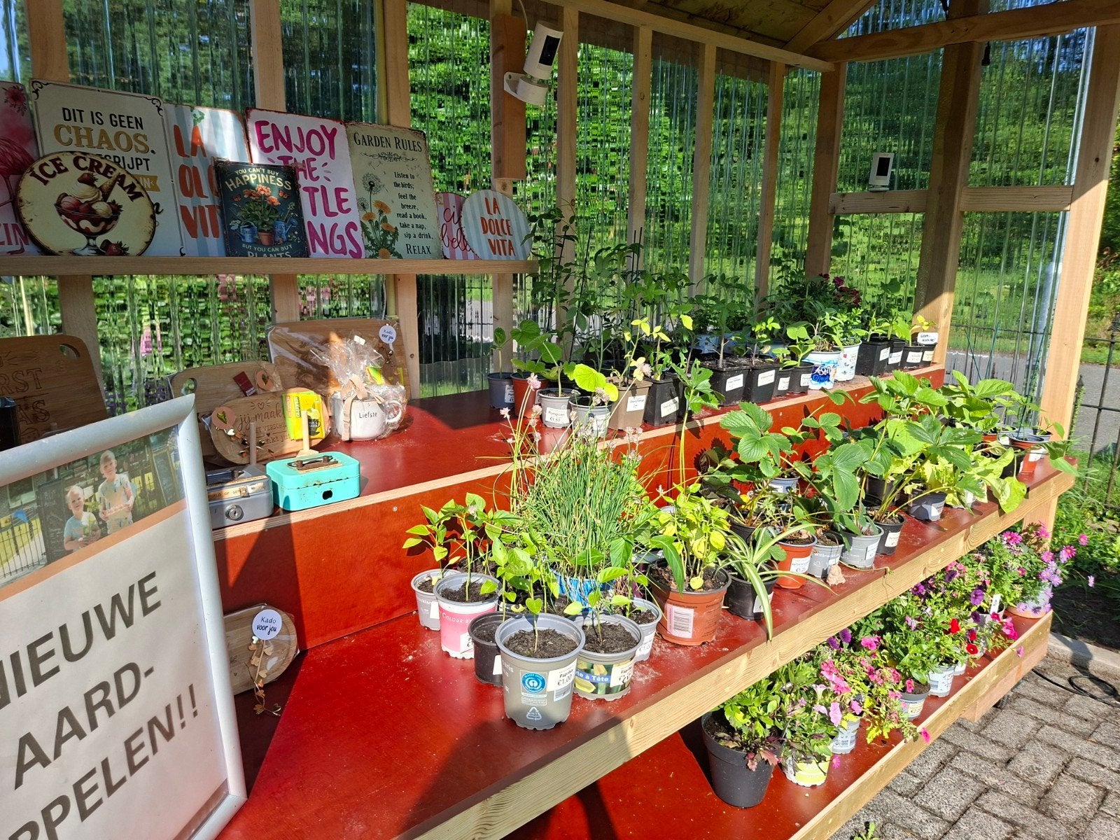 Moestuinkraam met diverse cadeaupakketjes, borrelplanken etc, Ophalen, Eenjarig, Groenteplanten, Volle zon