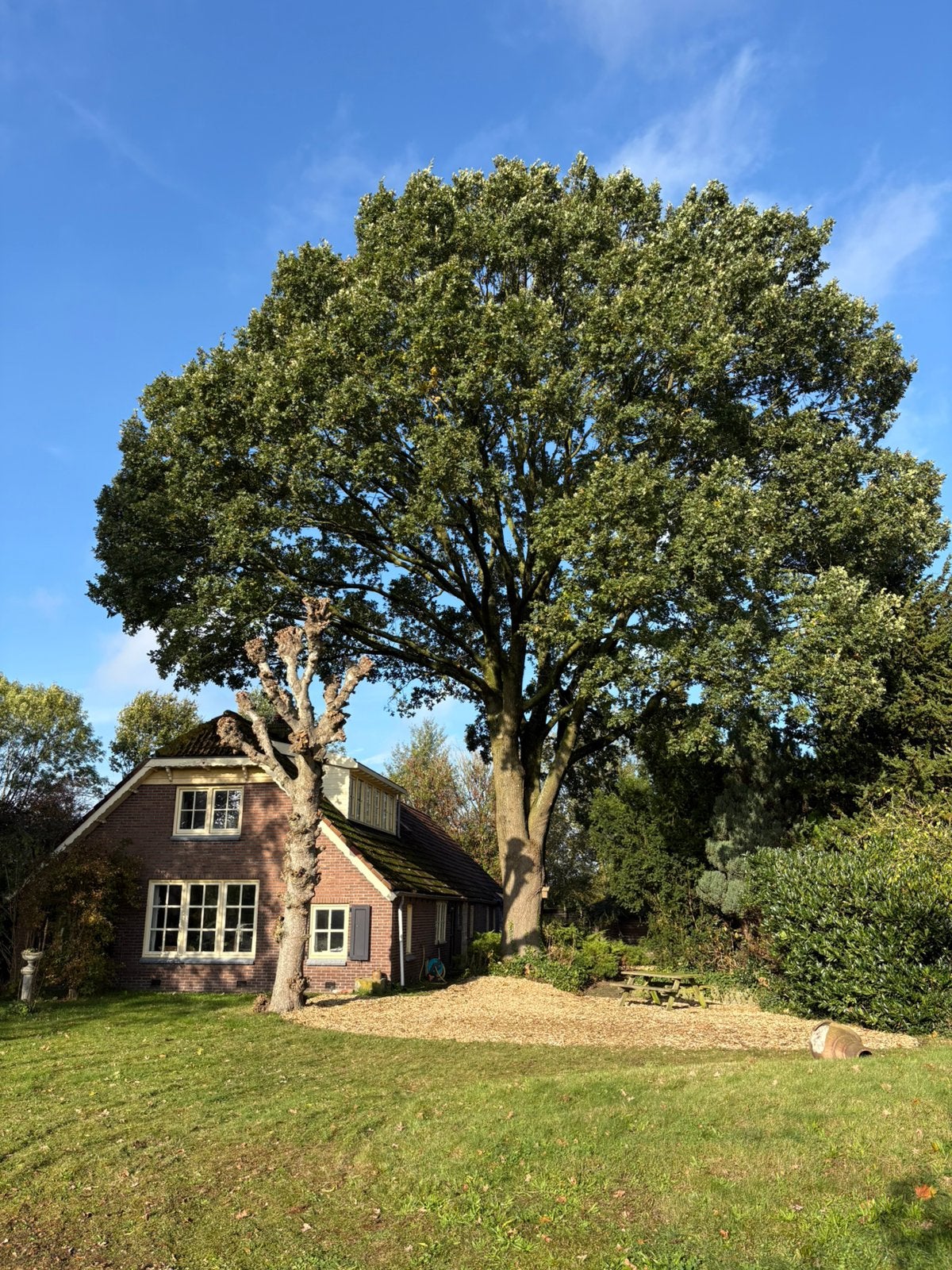 Houtsnippers, €25.- per m3 gartis levering in Dedemsvaart!, Ophalen