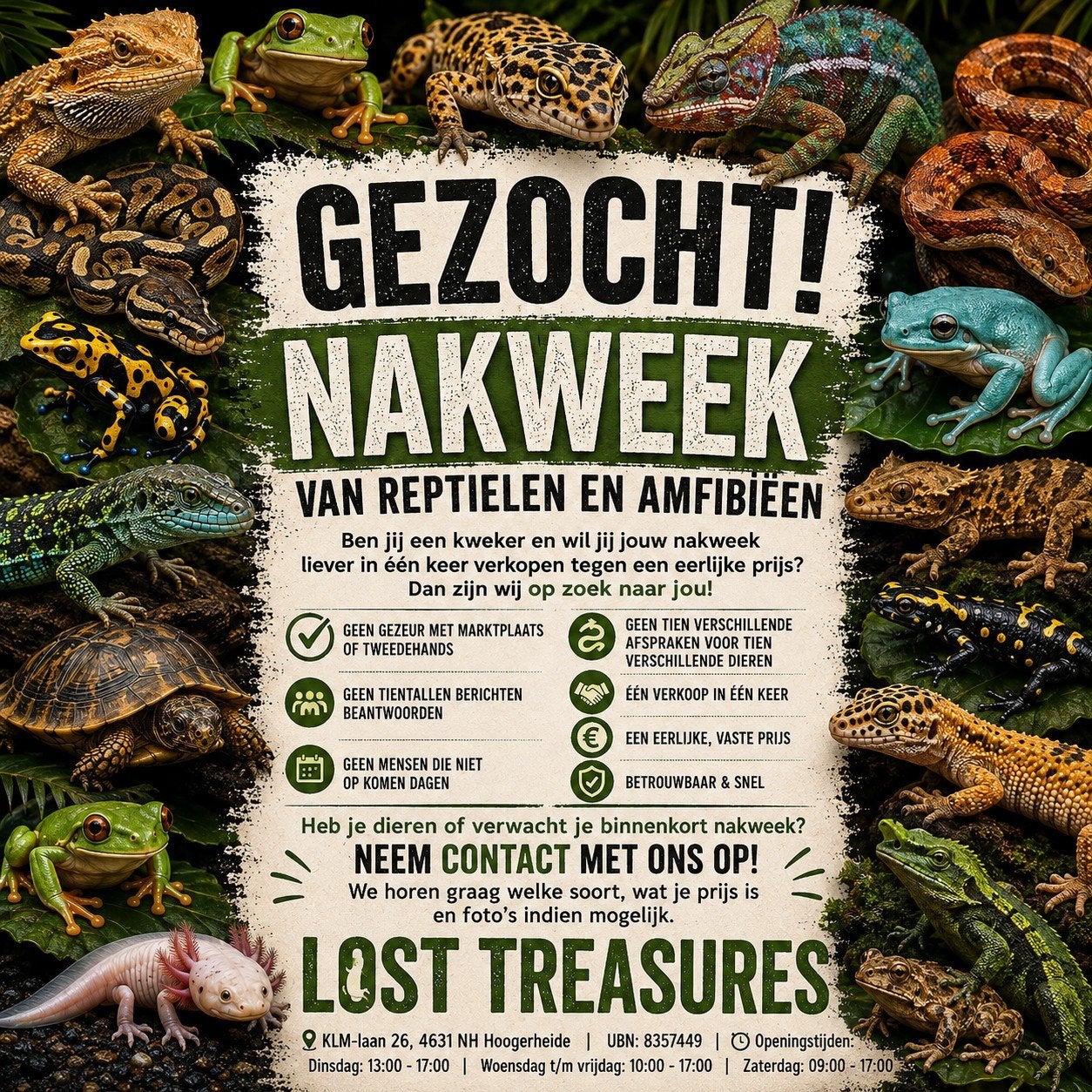 Gezocht: Nakweek van reptielen en amfibieën

Ben jij een kwe