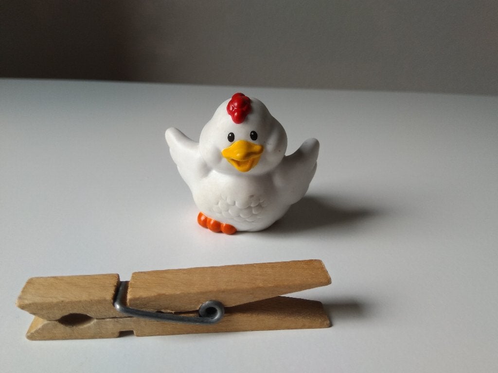 Fisher Price kip, Ophalen of Verzenden, Zo goed als nieuw, Overige typen