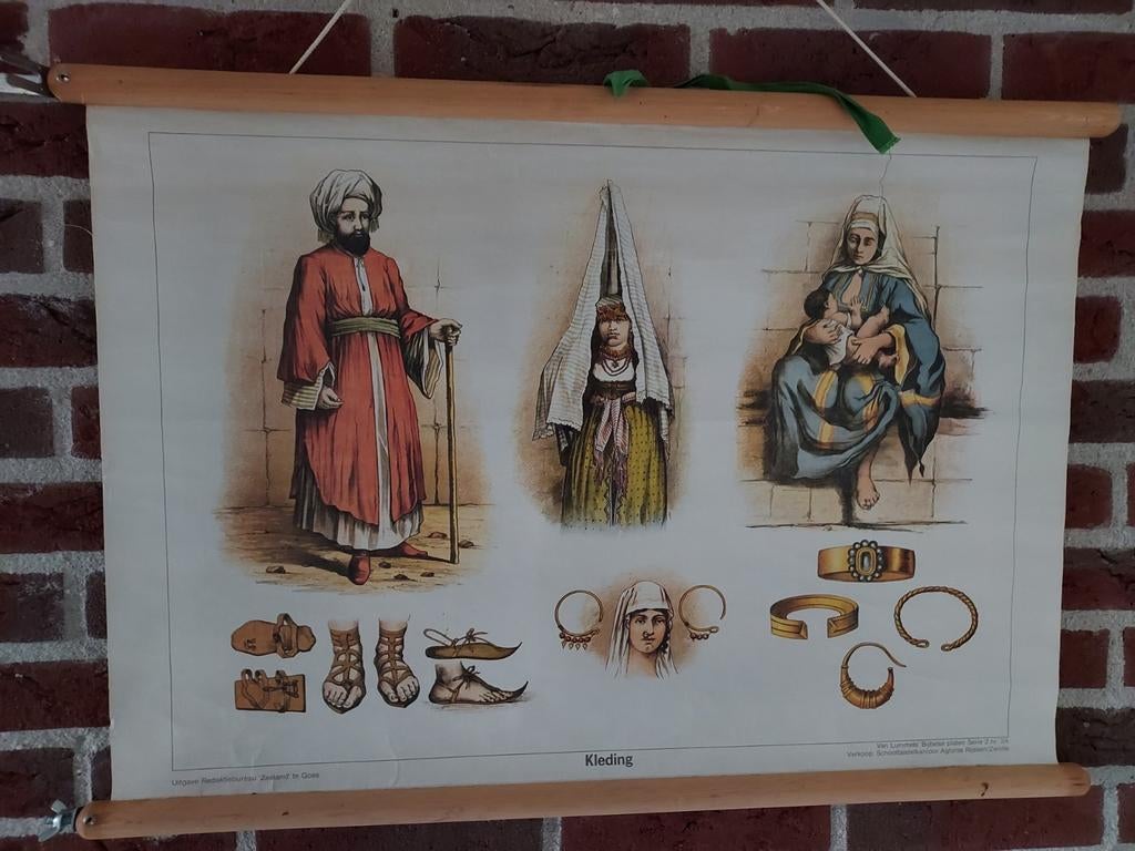 5. Bijbelse schoolplaten € 15.-, Ophalen of Verzenden, Natuur en Biologie