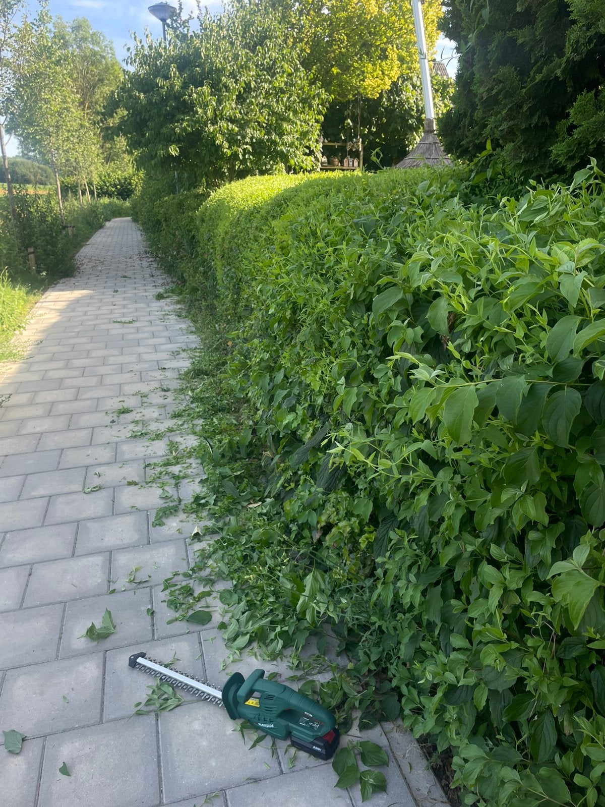 BETROUWBARE TUINMAN GEZOCHT‼️ lees ad., Ophalen, Overige soorten, Minder dan 100 cm