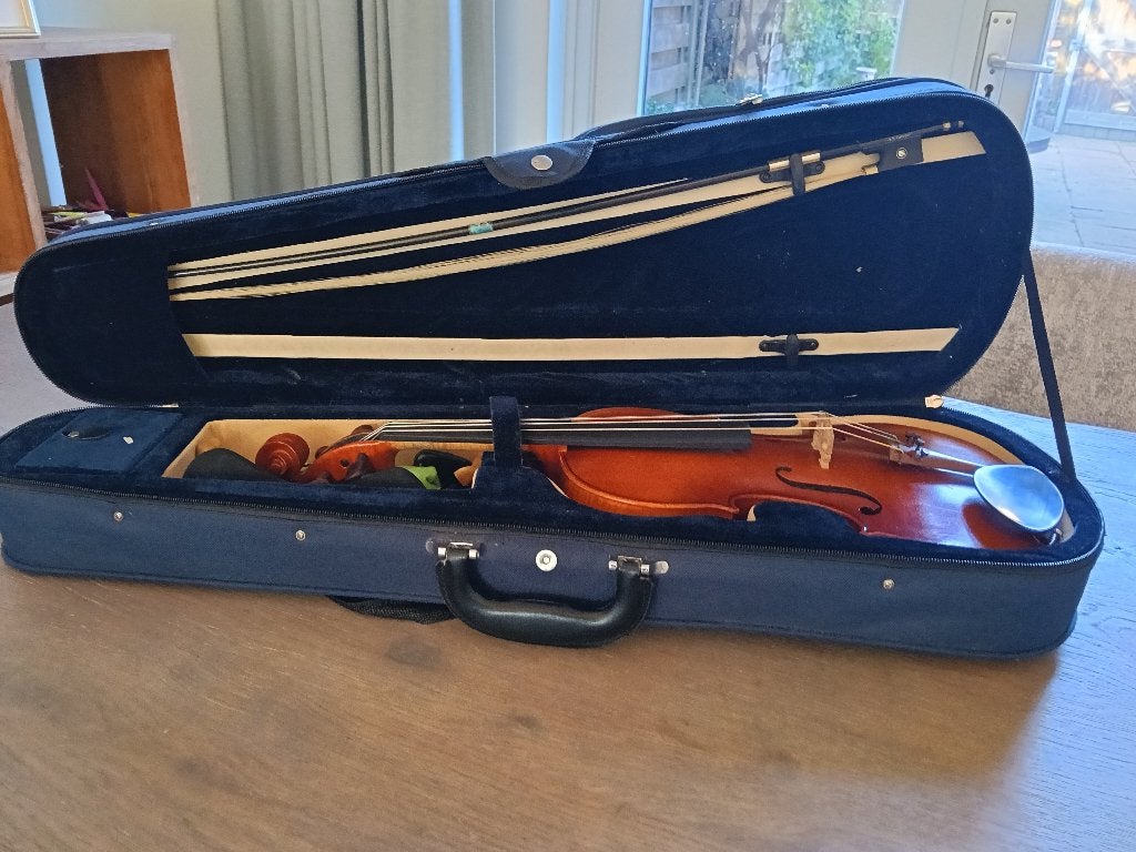Viool Roderich Paesolt, Muziek en Instrumenten, Strijkinstrumenten | Violen en Altviolen, Ophalen, Gebruikt, Viool, 4/4-viool