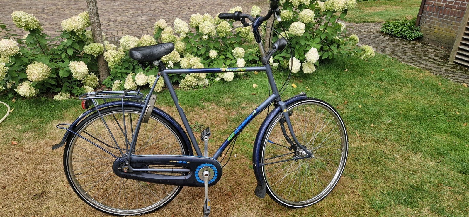 Herenfiets Gazelle, frame 65 cm, RVS velgen, Ophalen, Gebruikt, Versnellingen, 65 cm of meer
