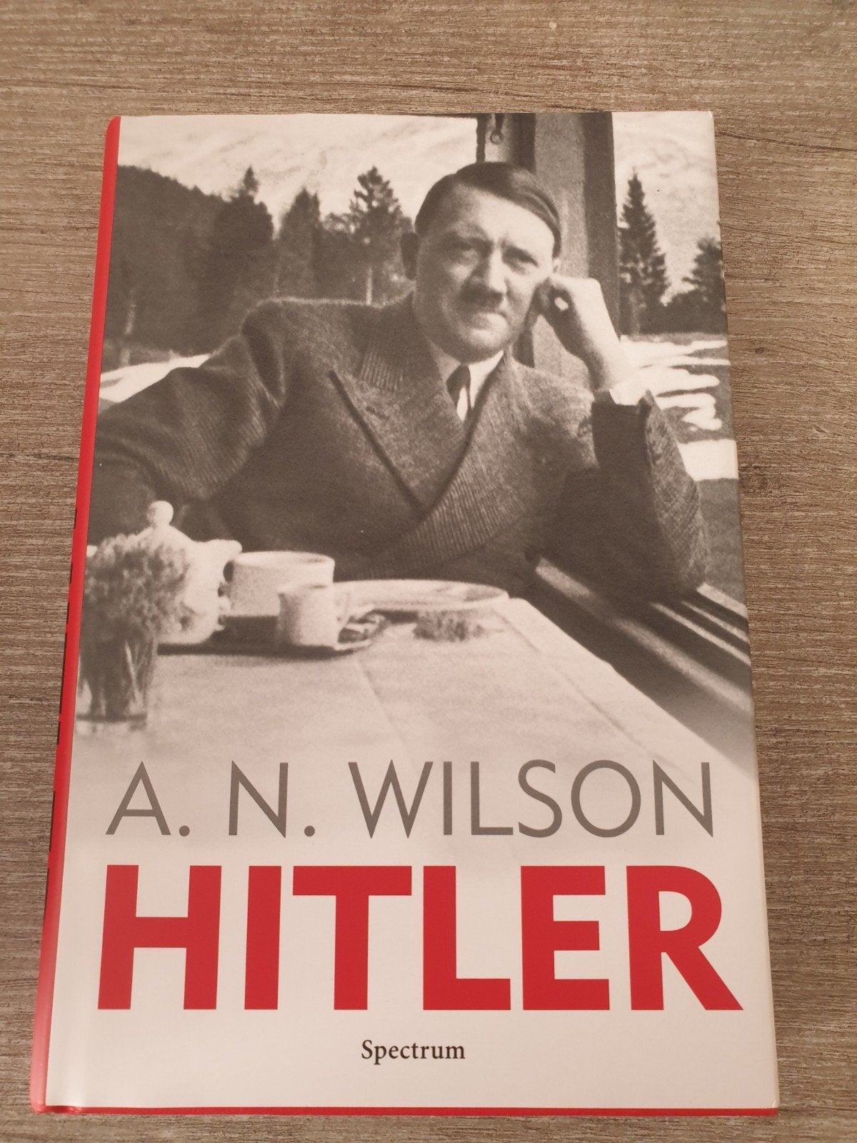 Hitler - A.N. Wilson (biografie), Ophalen of Verzenden, Gelezen, A.N. Wilson