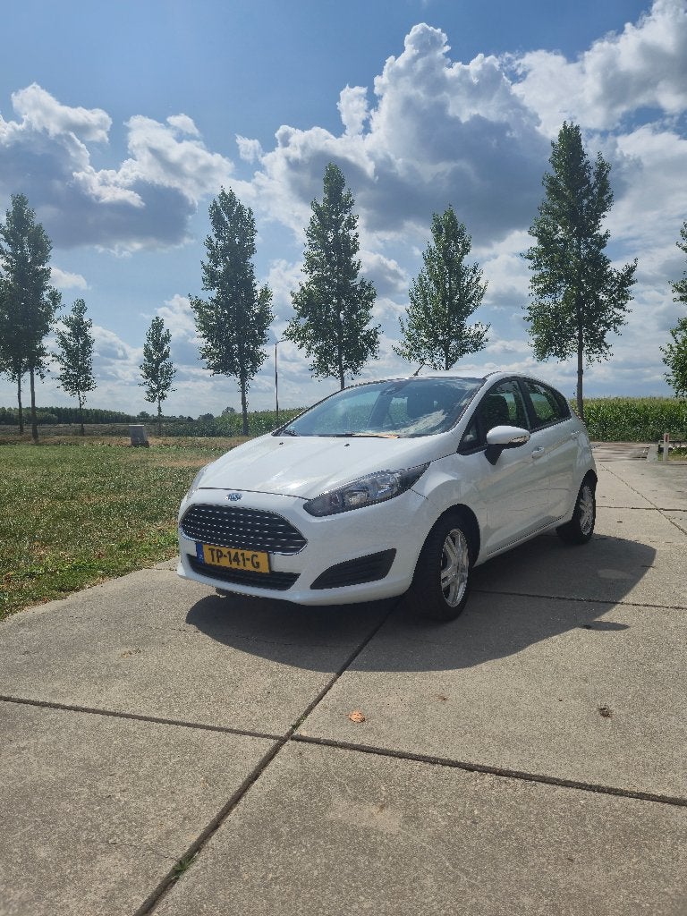 Ford Fiësta 1.0 EcoBoost 48KW/65PK 5D 2013 Wit, Auto's, Ford, Euro 5, Stof, 40 €/maand, Zwart