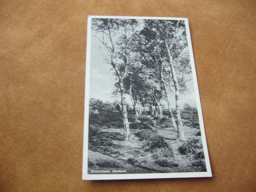 RENKUM  =  BOSCHBEEK, Verzamelen, Ansichtkaarten | Nederland, Ophalen of Verzenden, 1920 tot 1940, Gelopen, Gelderland