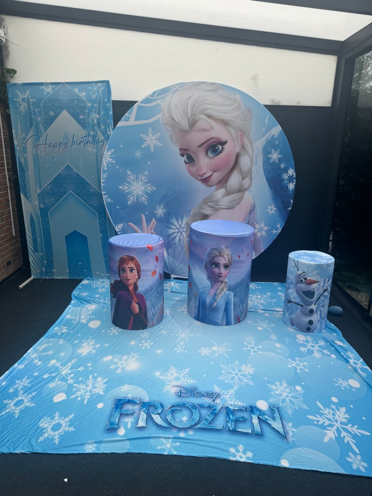 Elsa Frozen Backdrop en Decoratie te Huur, Ophalen of Verzenden, Zo goed als nieuw