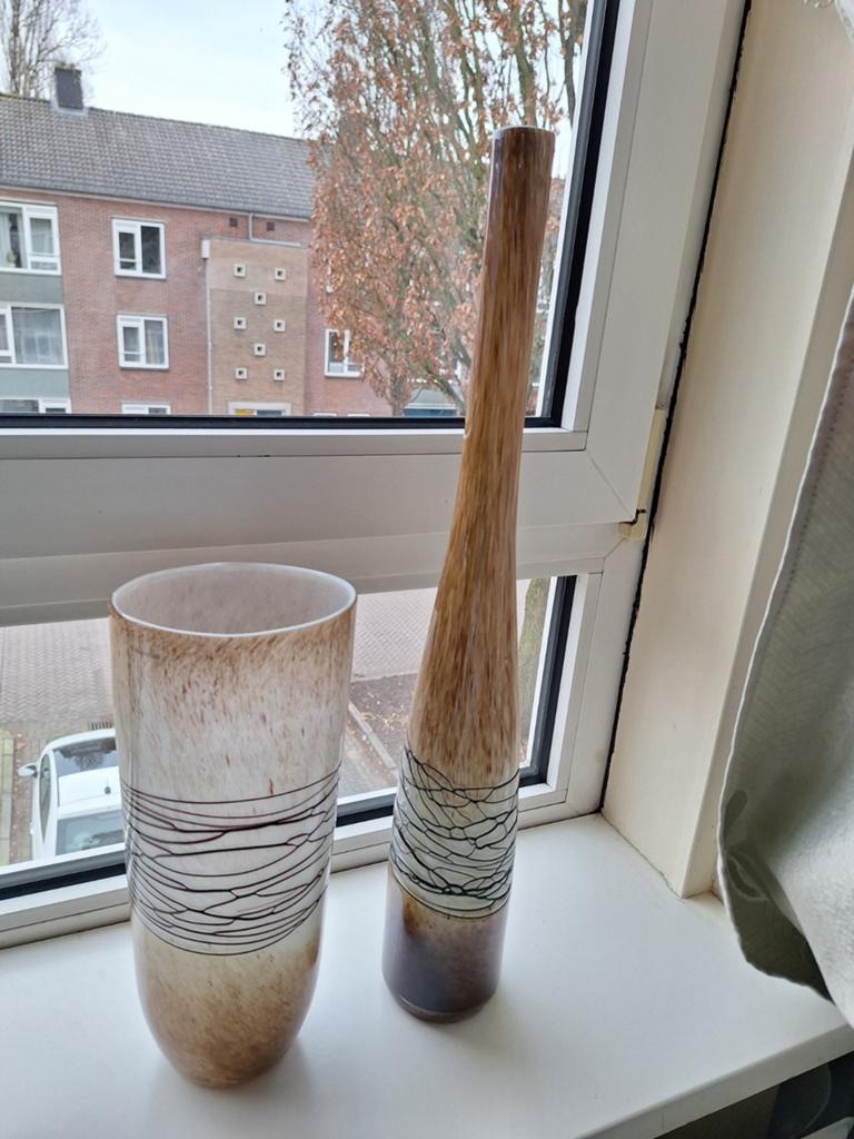2 vazen, Huis en Inrichting, Woonaccessoires | Vazen, Overige kleuren, Ophalen of Verzenden, Minder dan 50 cm, Glas
