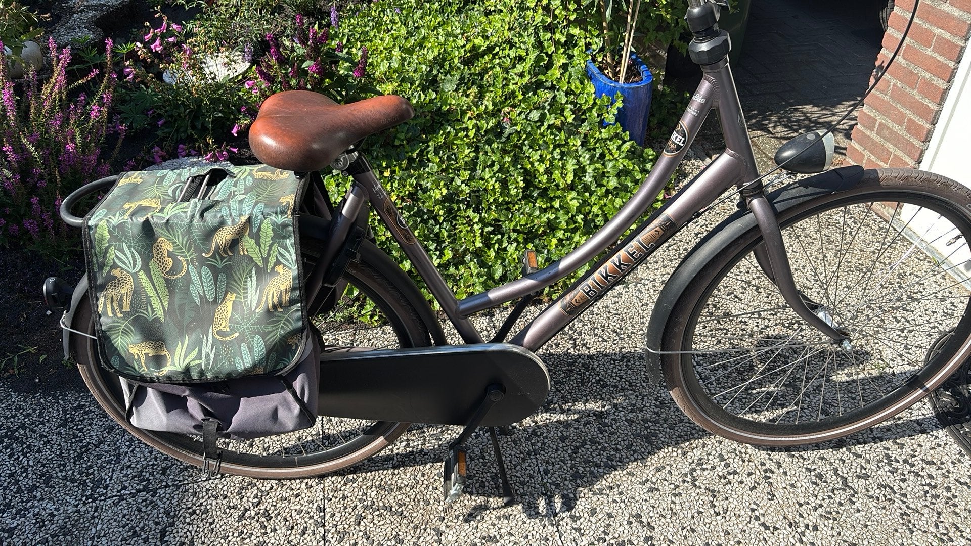 Bikkel oma fiets, Ophalen, Terugtraprem, Versnellingen, 53 tot 56 cm