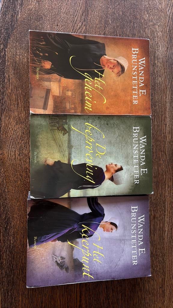 Wanda E. Brunstetter - Holmes Country - compleet, Ophalen of Verzenden, Zo goed als nieuw, Wanda E. Brunstetter