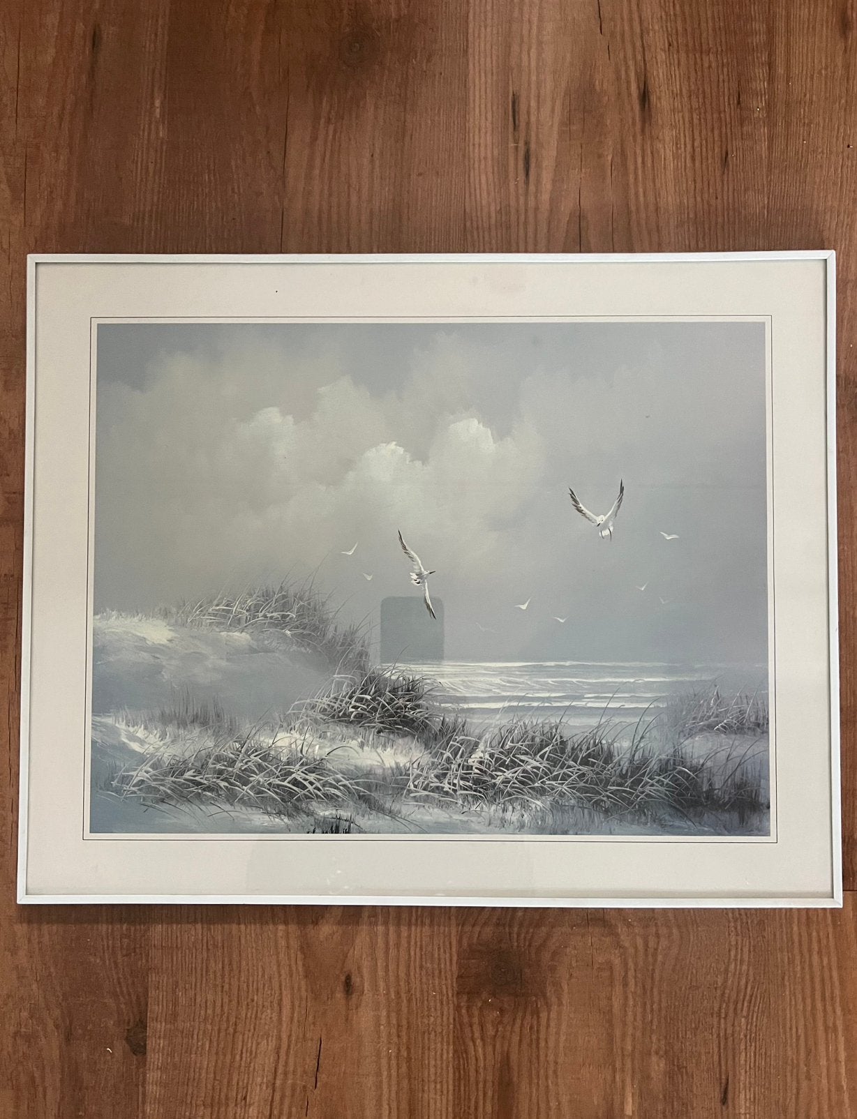 Ingelijste kunstprint: Zeegezicht met zeemeeuwen en duinen, Ophalen of Verzenden, 5 – 50, 50 tot 75 cm, Print