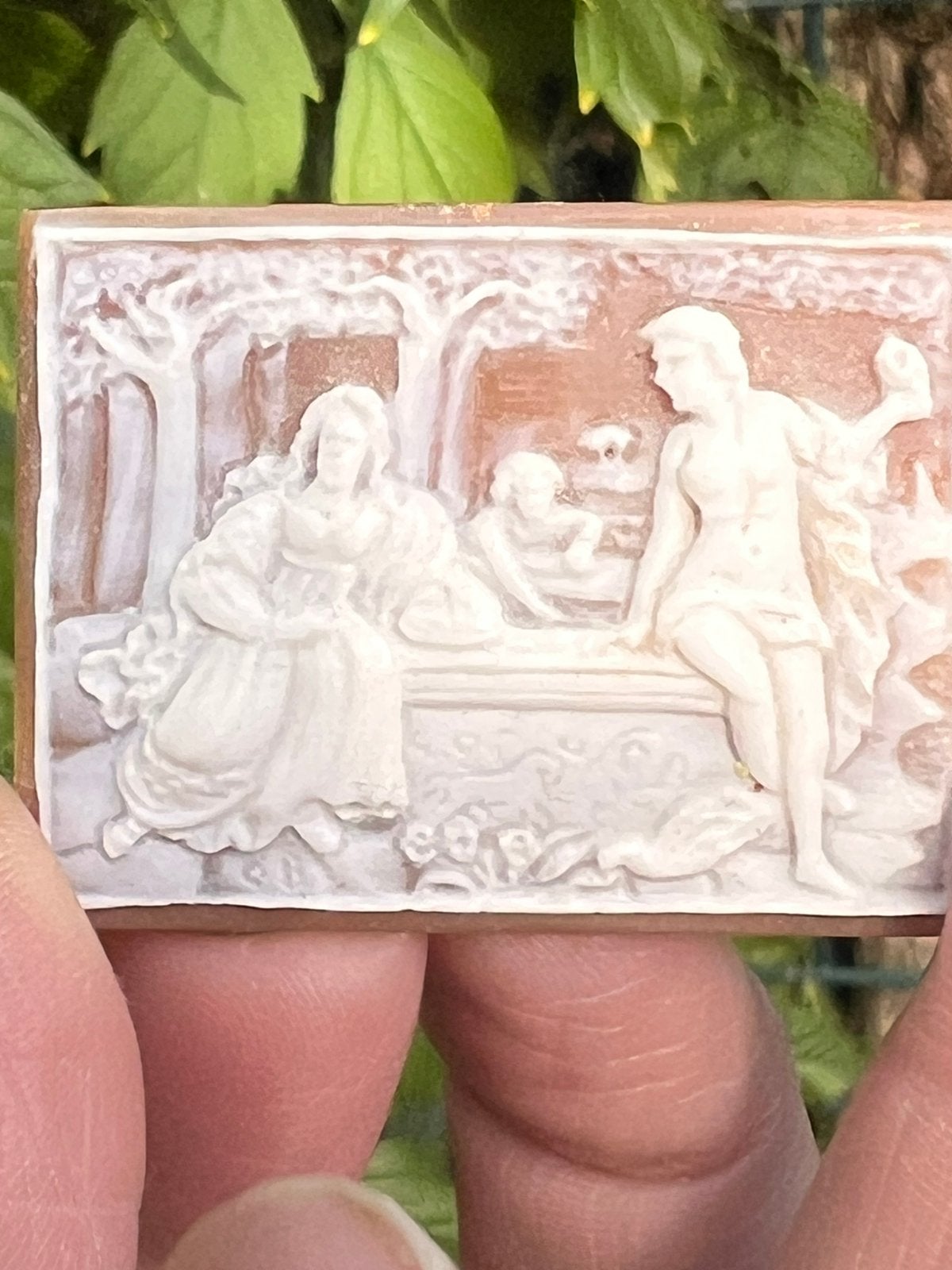 Camee, Ophalen of Verzenden, Fossiel