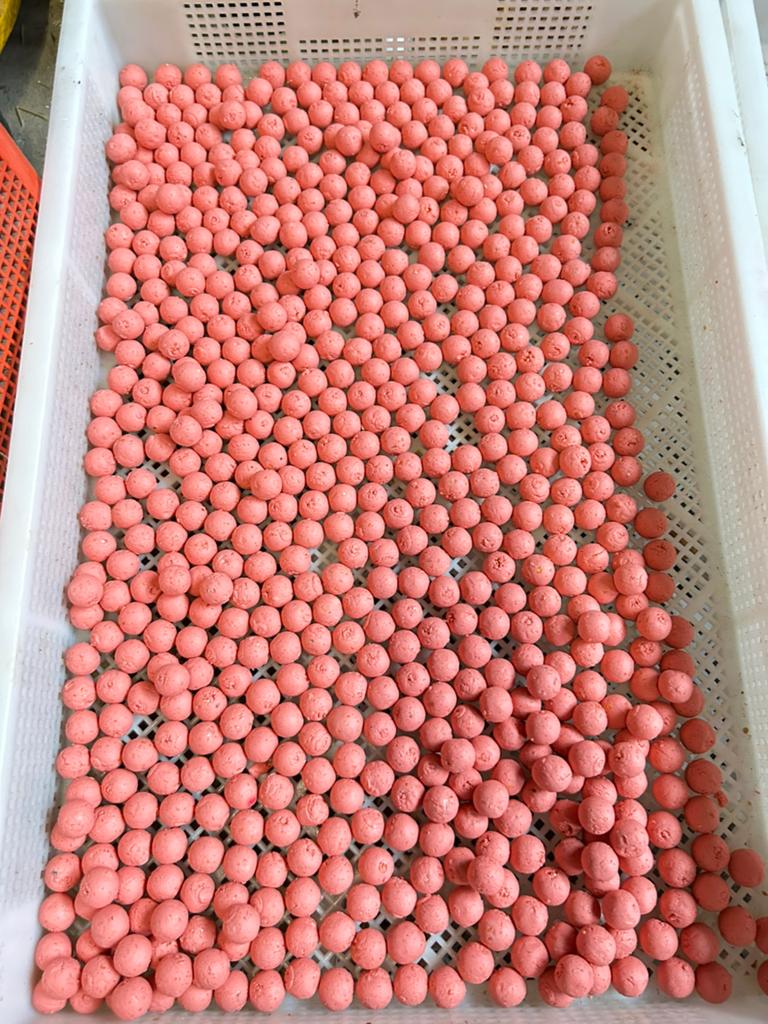 Sweet tutti frutti boilie 🍑🥝🍊🍓🍌🍋, Ophalen of Verzenden, Nieuw