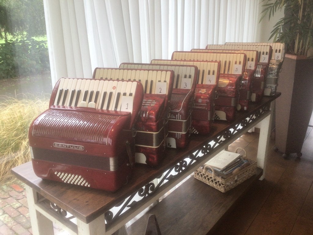 Accordeon Playback Bluetooth Usb-Stick, Overige merken, Met riemen, Verzenden, Overige formaten