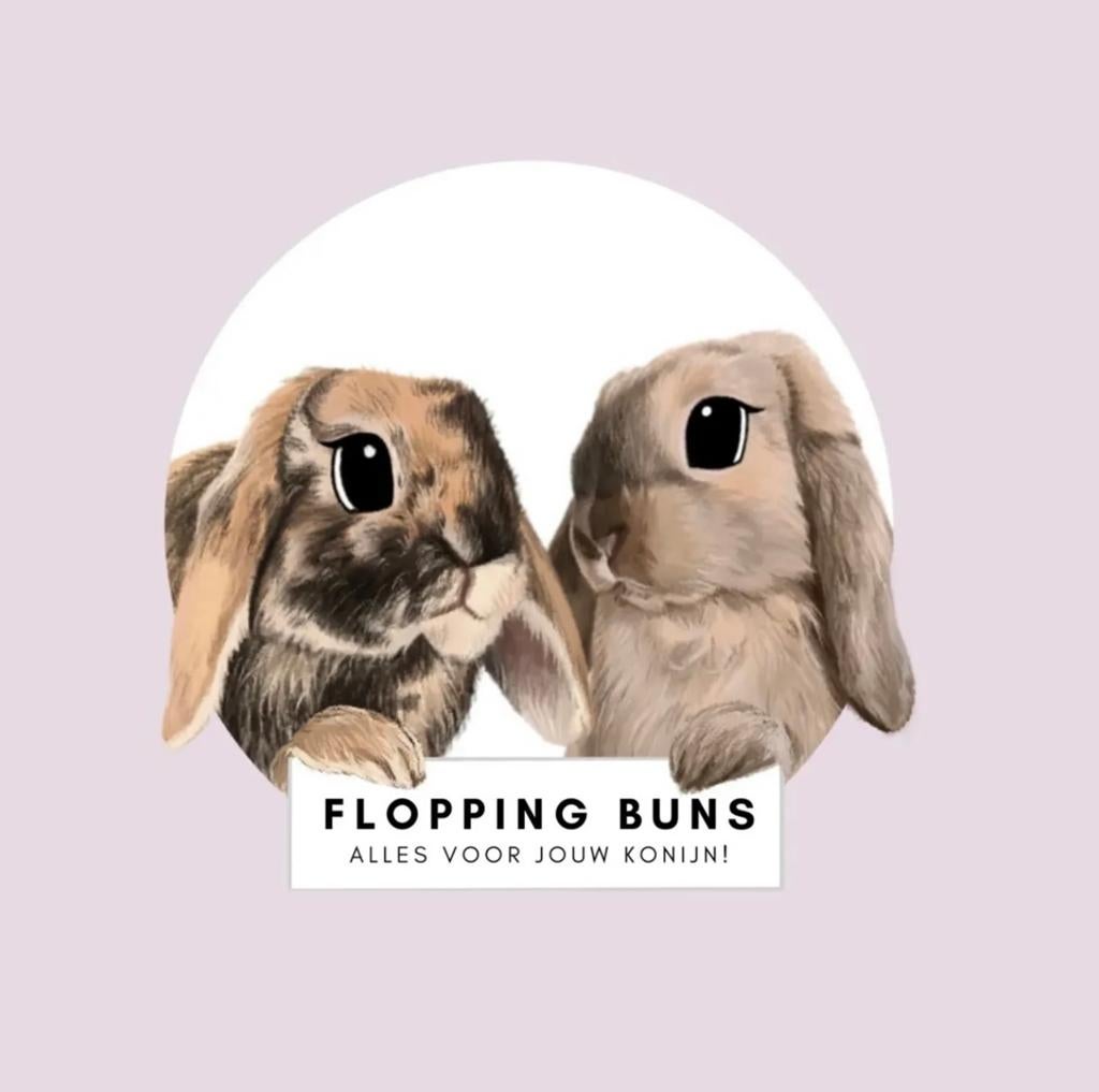 Flopping Buns Webshop, Dieren en Toebehoren, Konijnen, Meerdere dieren