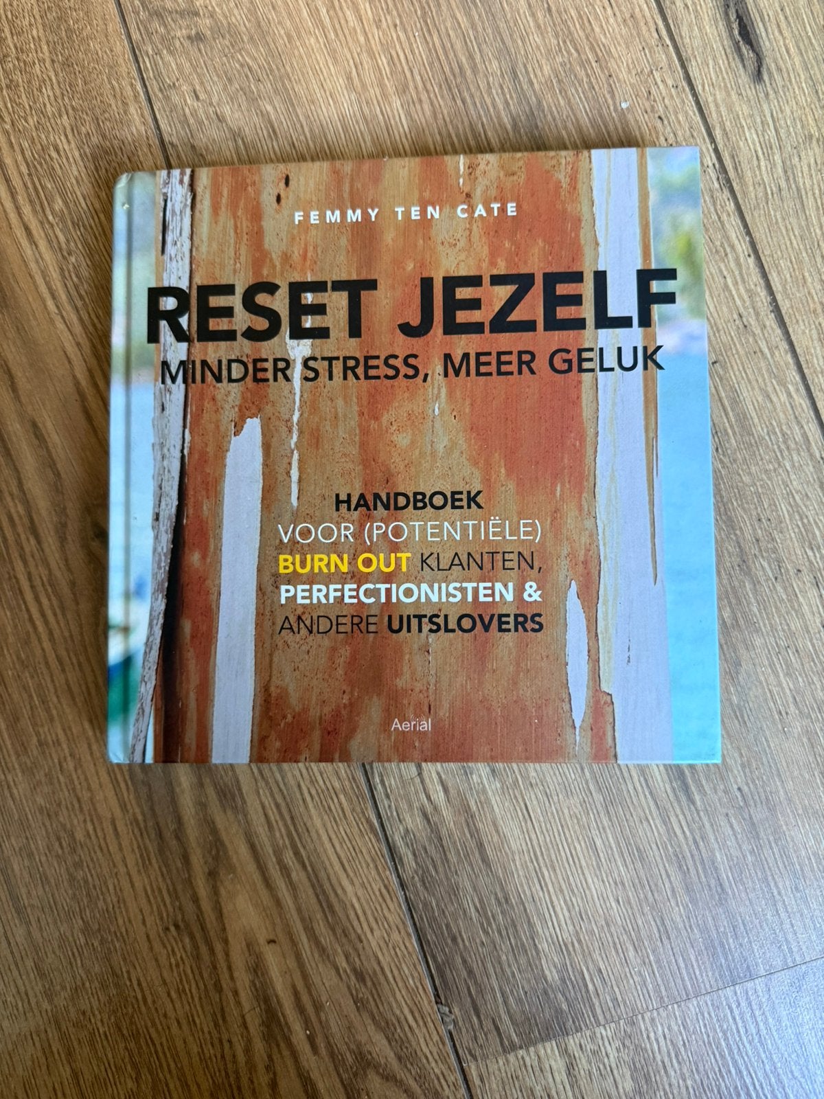 Femmy Ten Cate- Reset jezelf: minder stress, meer geluk, Ophalen of Verzenden, Zo goed als nieuw