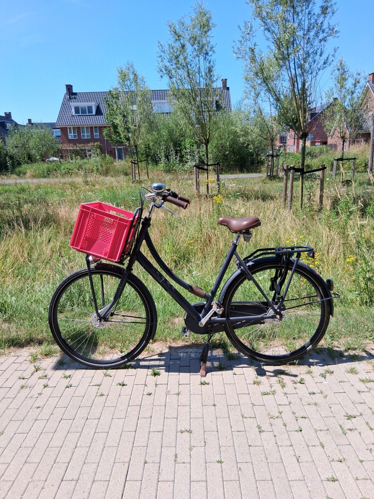 Cortina damesfiets met voordrager en krat, Velgrem, Versnellingen, Ophalen, Overige merken