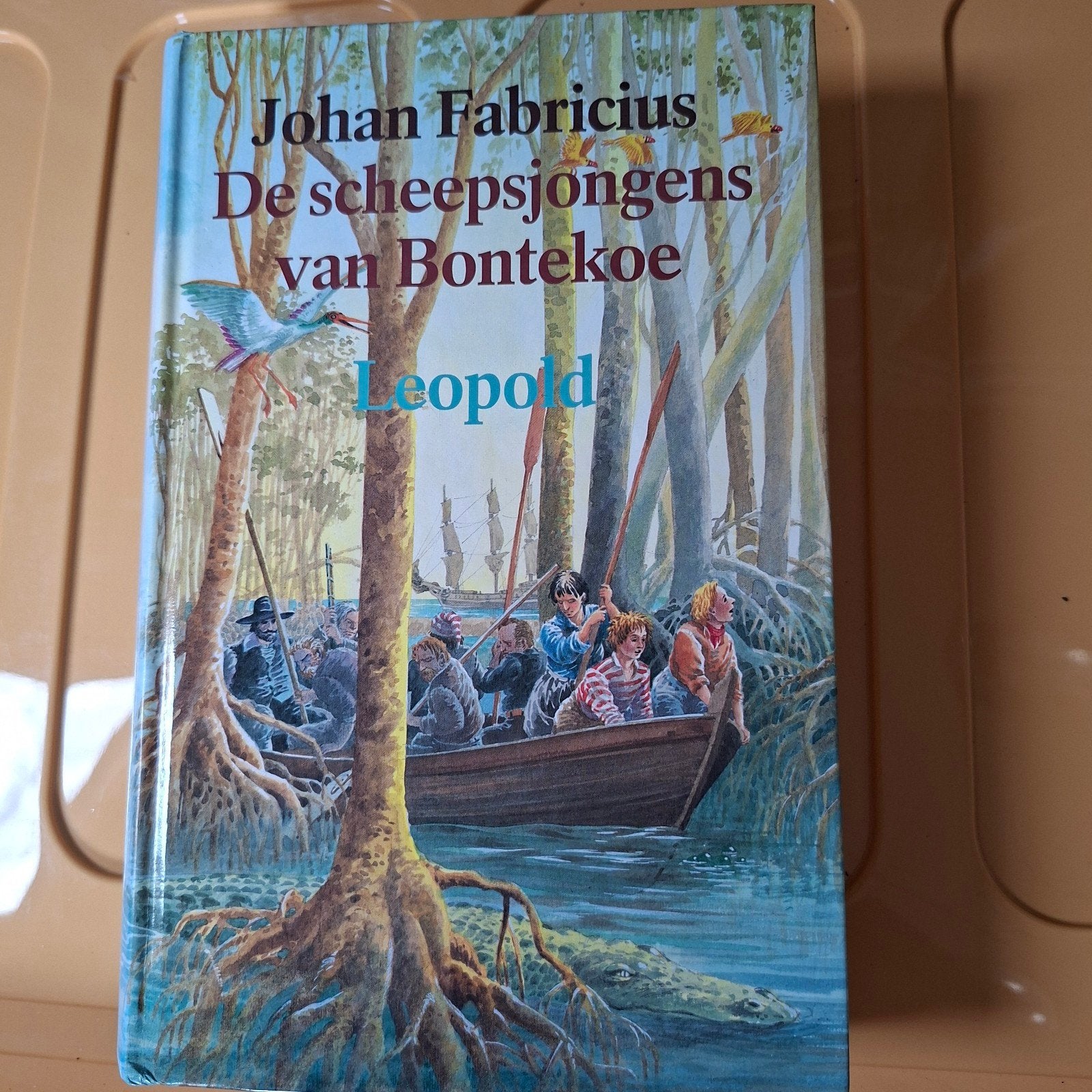 De scheepsjongens van de Bontekoe - Johan Fabricius (1989), Ophalen of Verzenden