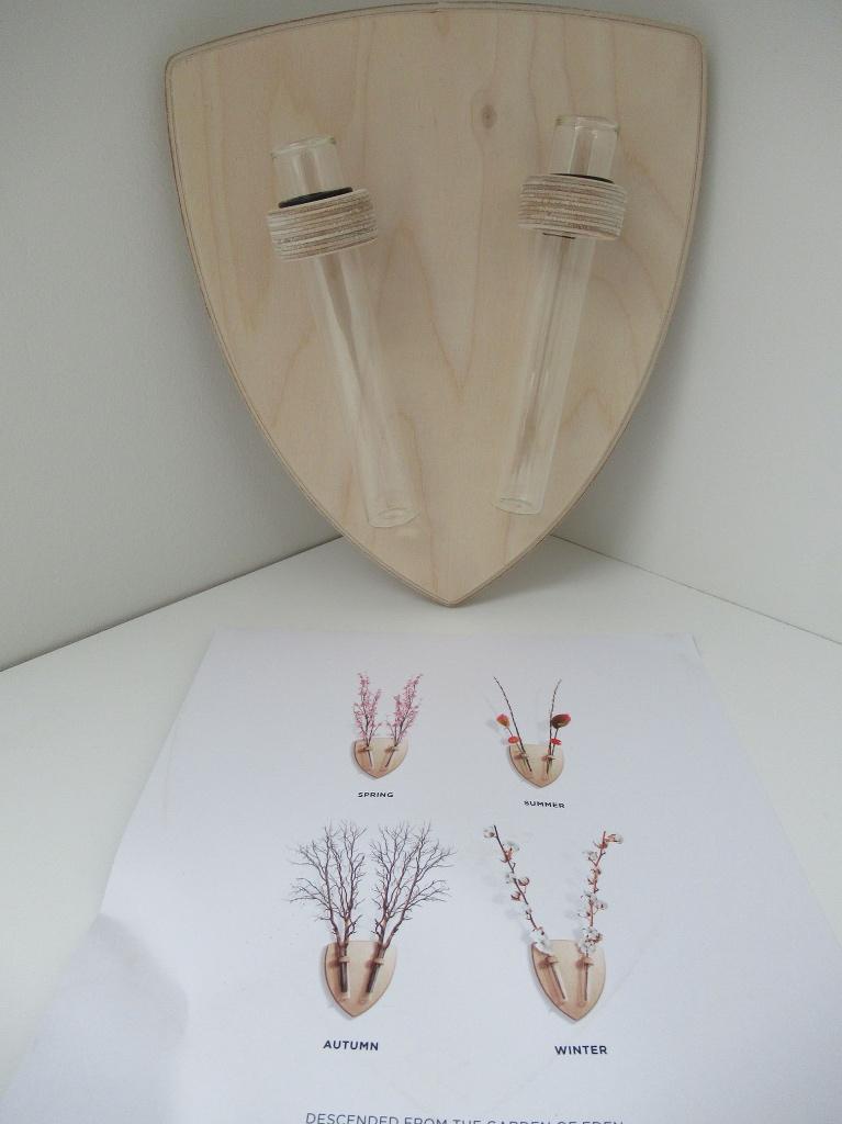 Houten (schild)wandhanger met 2 reageerbuisjes, Verzenden, Wandhanger, Hout, Zo goed als nieuw