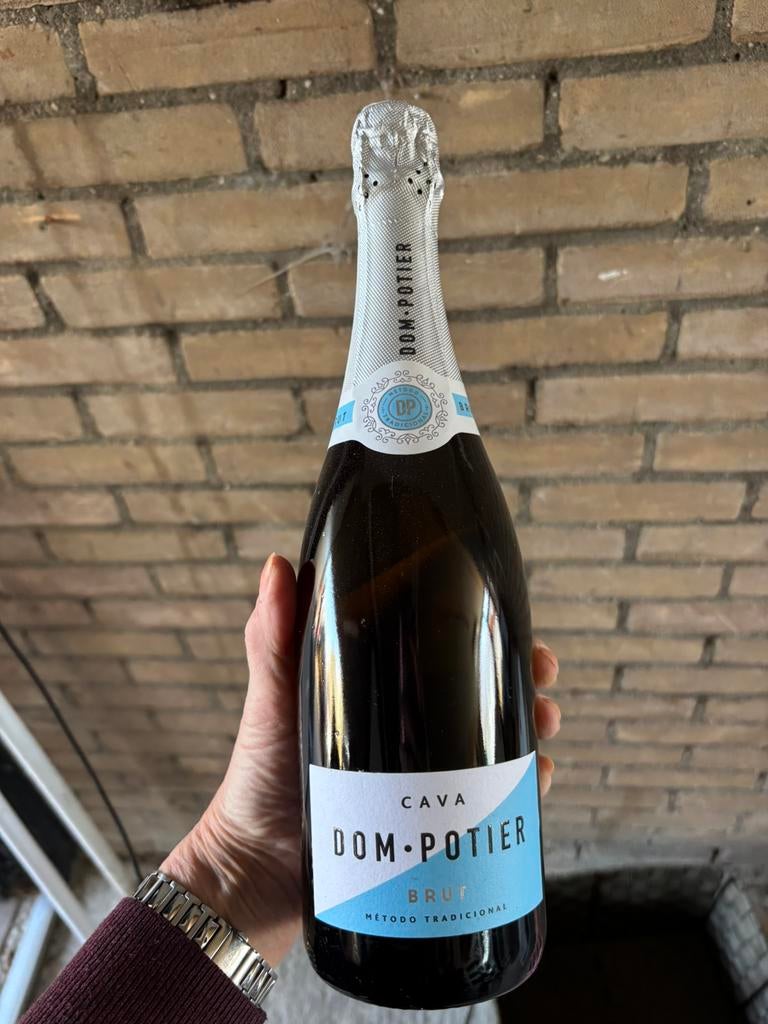 Dom Potier Cava Brut KPN kwaliteitswijn 11,5%vol, Ophalen, Frankrijk, Nieuw, Champagne