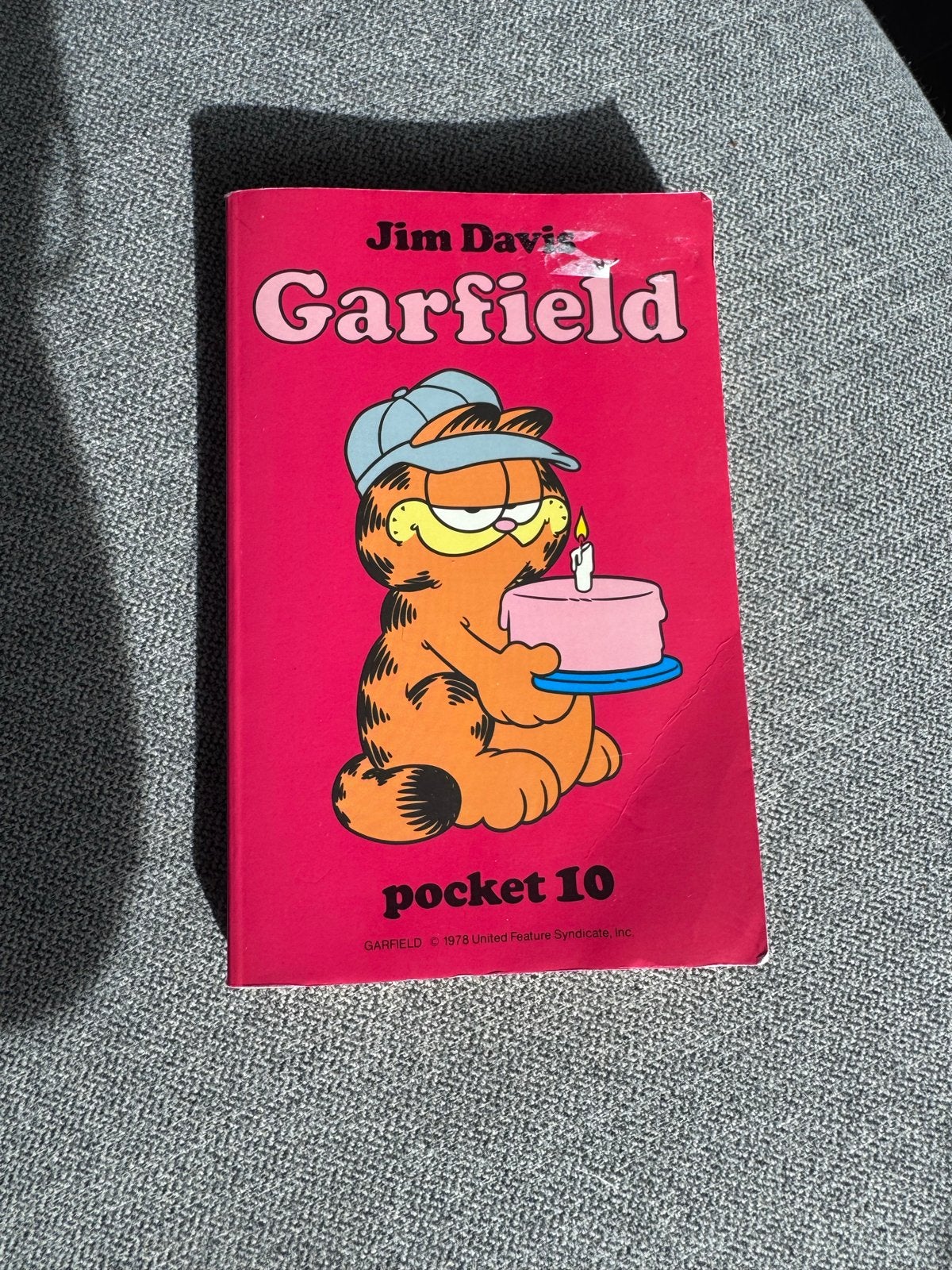 Garfield Pocket 10 - Jim Davis Stripboek, Eén stripboek, Ophalen of Verzenden, Gelezen