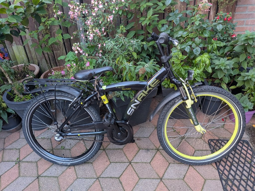 Batavus Snake 24# 3V, Ophalen, Terugtraprem, Batavus, Handrem