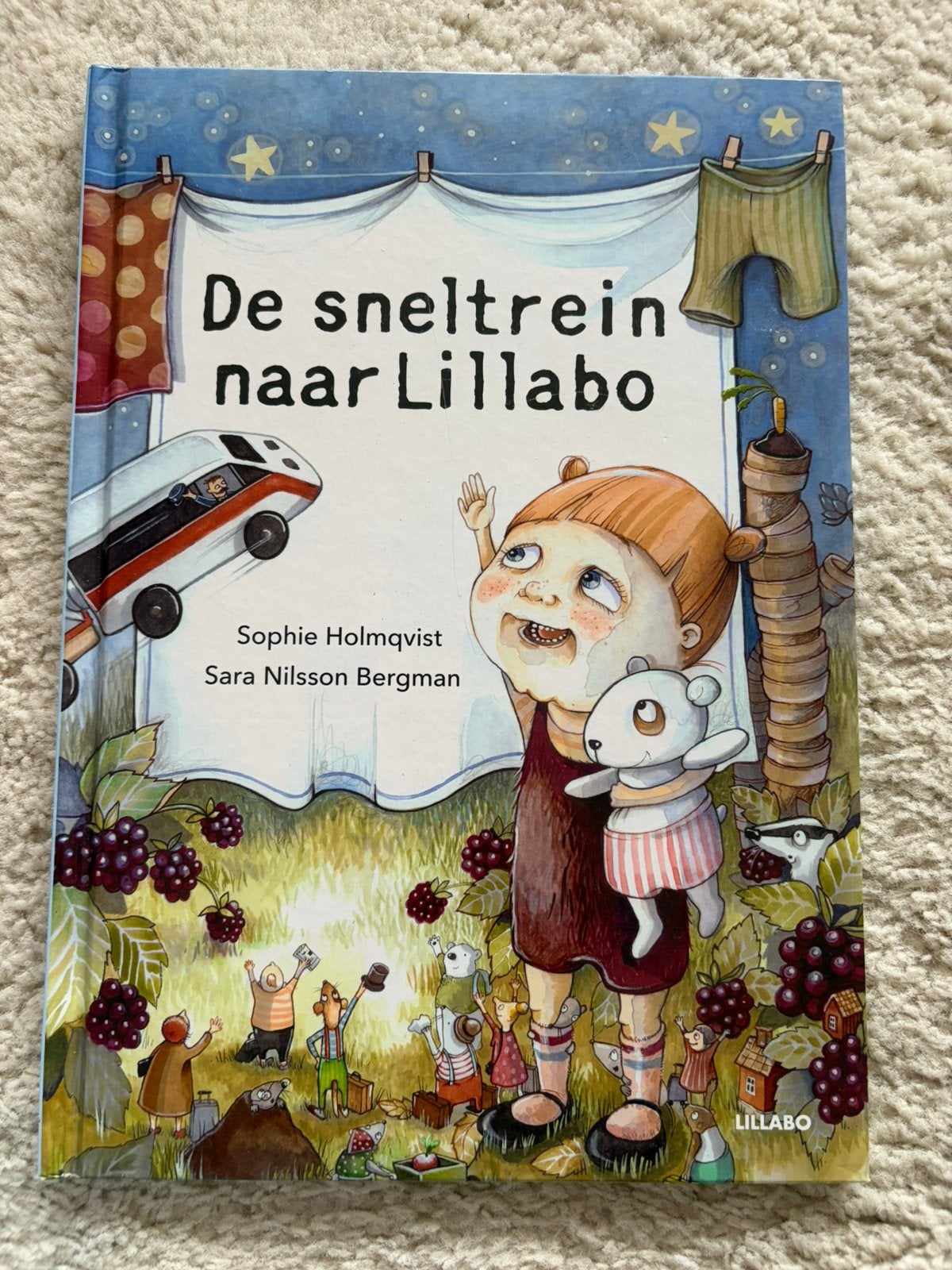 Prentenboek in nette staat, Ophalen of Verzenden, Gelezen, Jongen of Meisje