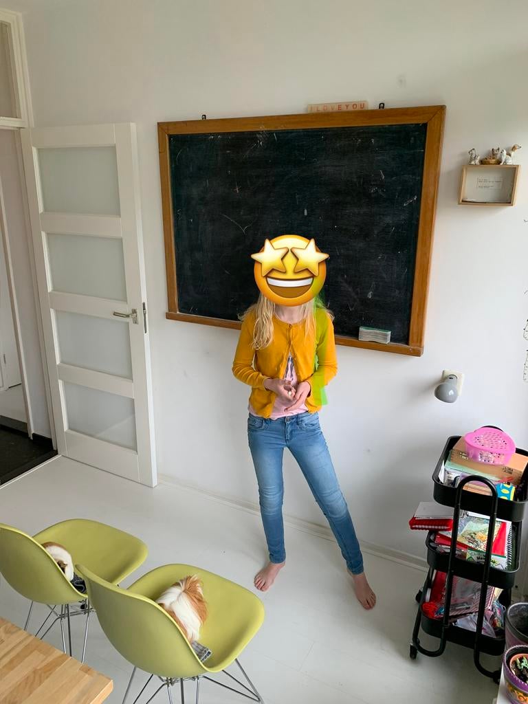 Schoolbord, Ophalen of Verzenden, Gebruikt, Krijtbord