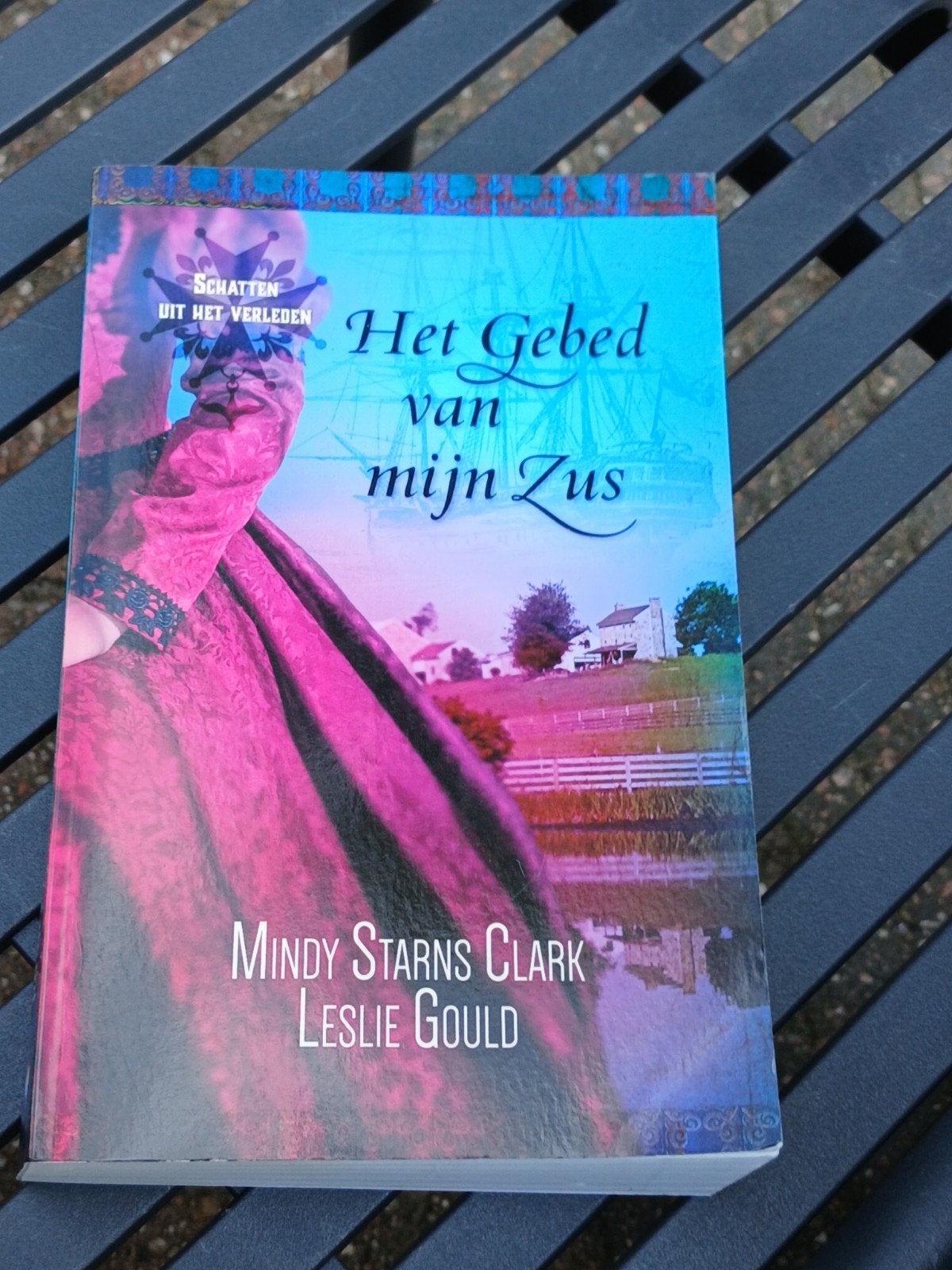 Het Gebed van mijn Zus - Mindy Starns Clark & Leslie Gould, Ophalen of Verzenden, Gelezen, Mindy Starns Clark & Leslie Gould, Nederland
