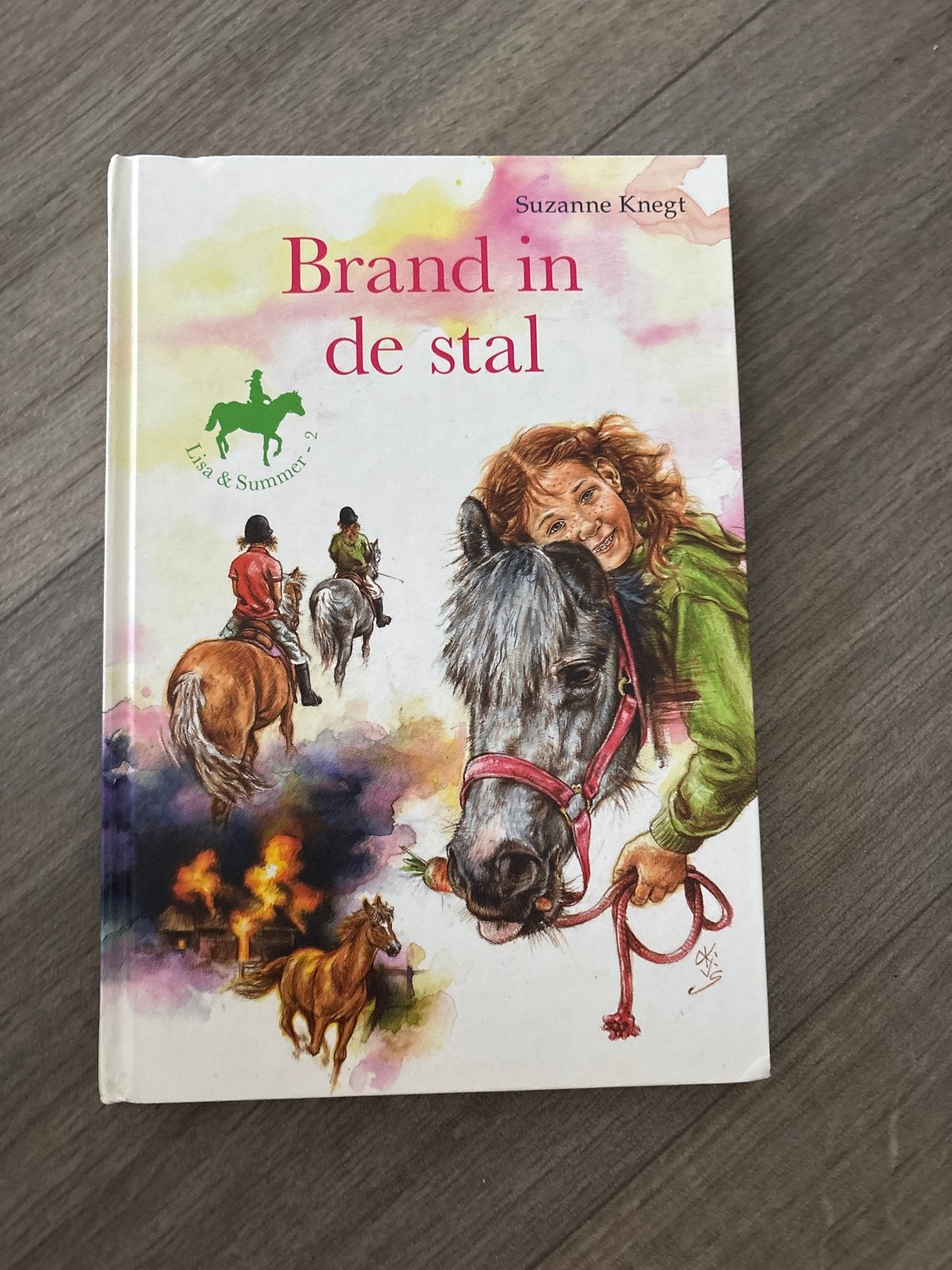 Brand in de stal - Lisa & Summer deel 2, Ophalen of Verzenden, Zo goed als nieuw, Fictie